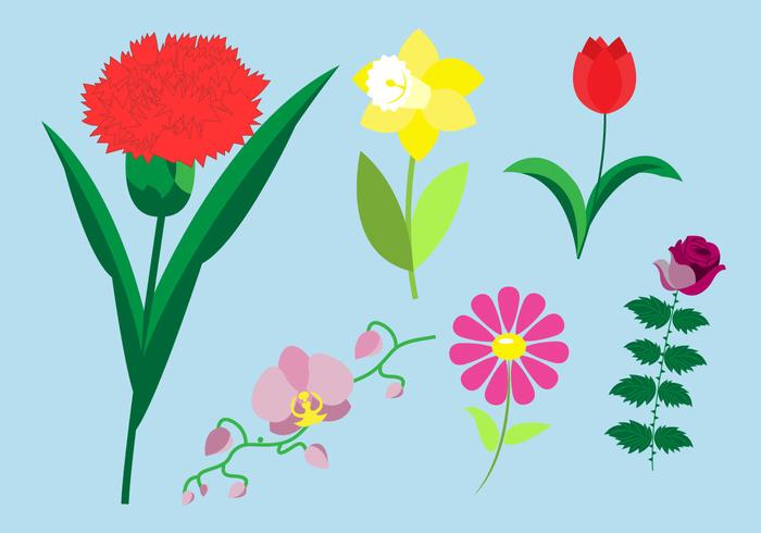 Set of Flower Species vector