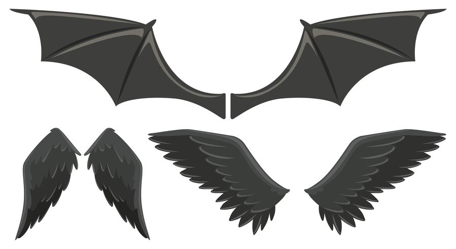 Three set of black wings vector