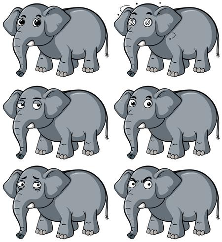 Wild elephant with different facial expression vector