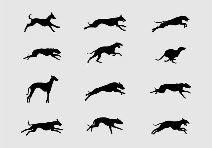 Whippet Silhouette vector