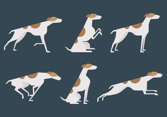 Whippet Vector Icons